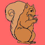 Squirrels coloring pages for kids