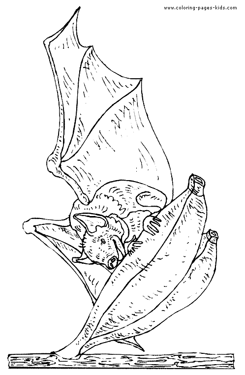 Bats Coloring Page - Hanging Bat