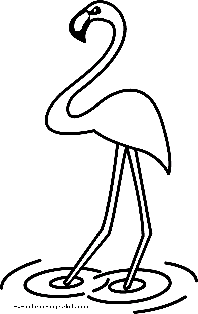 Bird Coloring Page Toddlers Flamingo Simple Color Sheet Picture Pages