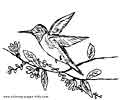 cute little bird coloring page