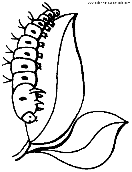 Caterpillar coloring page for kids