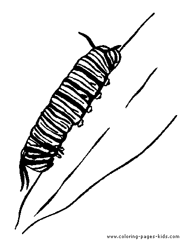 Caterpillar on a leaf printable coloring page for kids