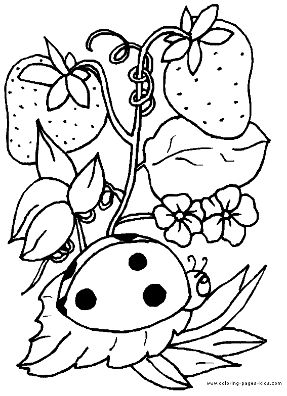 Ladybug with strawberries animal coloring pages, color plate, coloring sheet,printable coloring picture