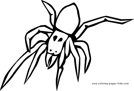 Spider coloring picture to print colouring sheet