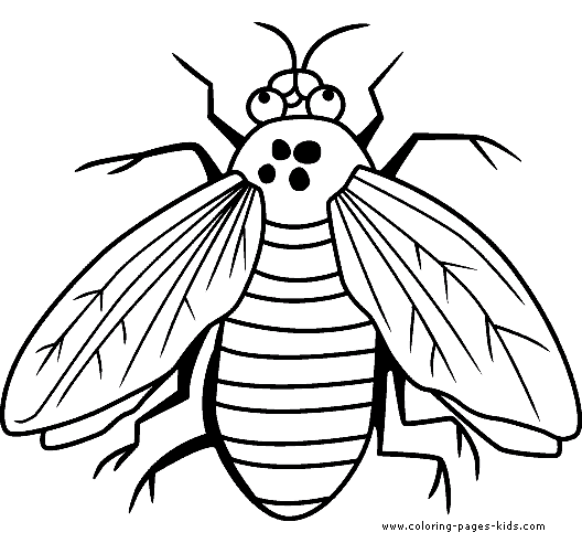 g708 color fly coloring pages - photo #33