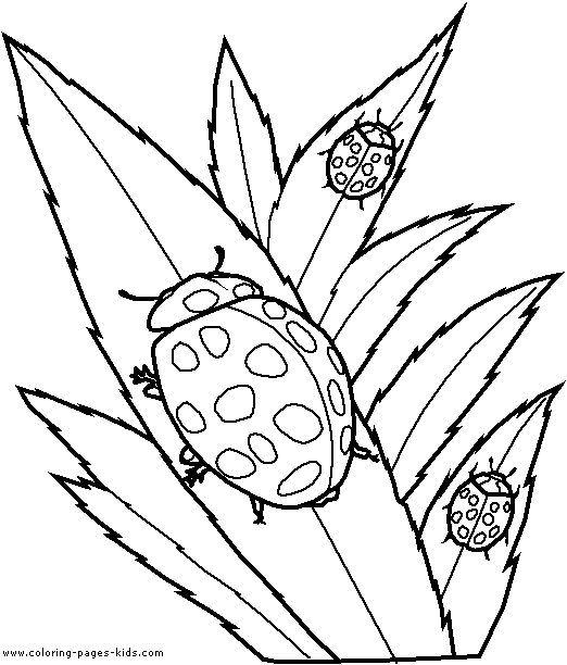 Ladybugs coloring sheet to print