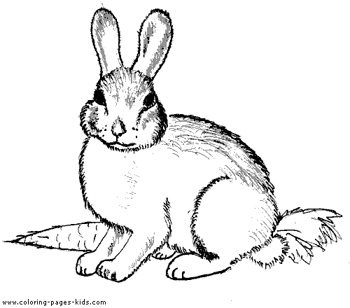 Lovely Bunny coloring book page cute