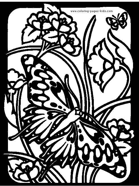 coloring pages of butterflies and. Butterflies Coloring pages