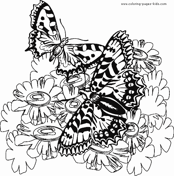 Two Butterflies coloring sheet picture