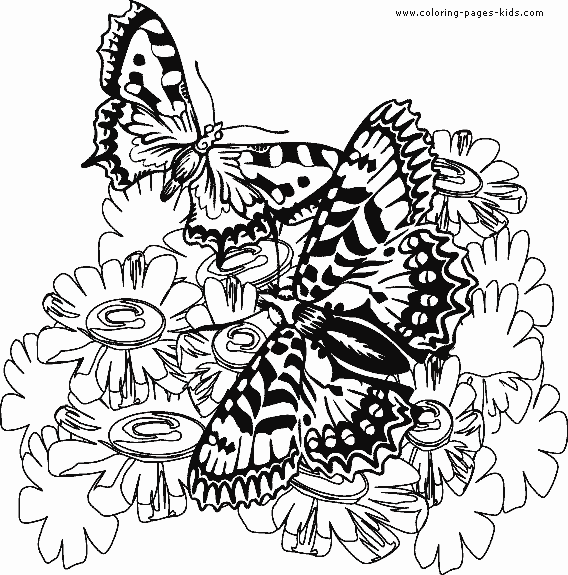 butterfly color page animal coloring pages color plate coloring sheet