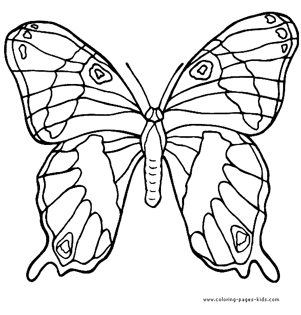 More free printable Butterflies coloring pages and sheets can be found in