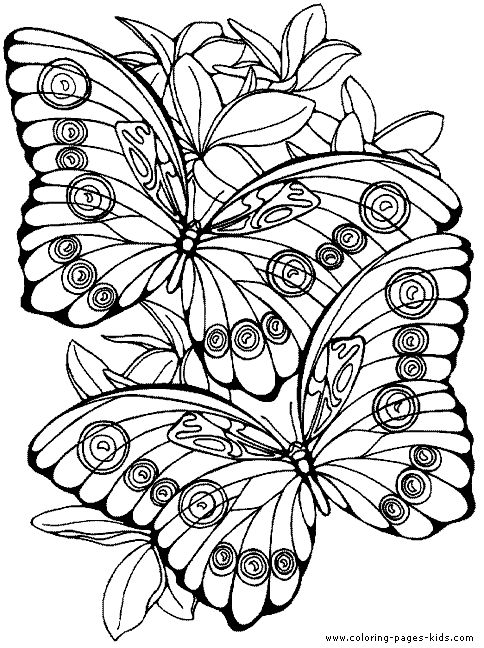 coloring pics of butterflies. utterfly color page, animal