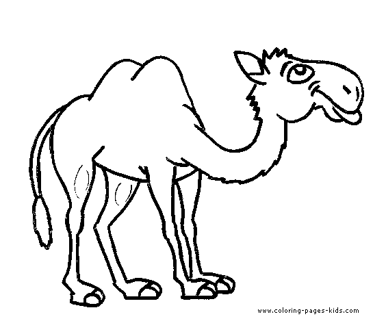 Camel free printable coloring page