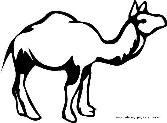 Camel coloring printable for kids