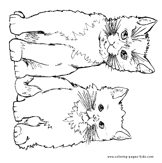 cat color page, animal coloring pages, color plate, coloring sheet,printable coloring picture