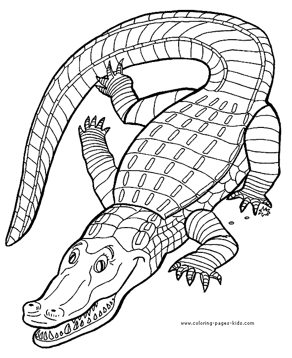 uf gators coloring pages - photo #12