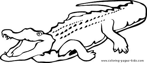 printable coloring pages crocodile - photo #34