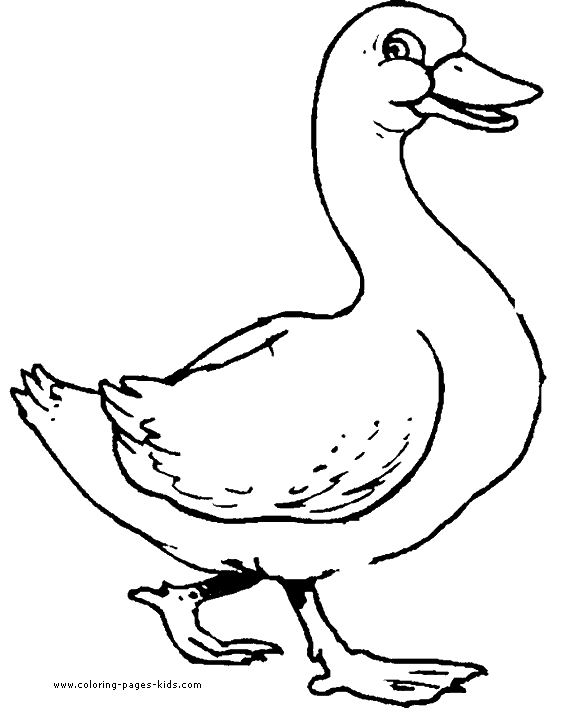 Duck color page, animal coloring pages, color plate, coloring sheet 