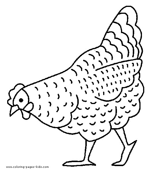 chicken color page, animal coloring pages, color plate, coloring sheet,printable coloring picture