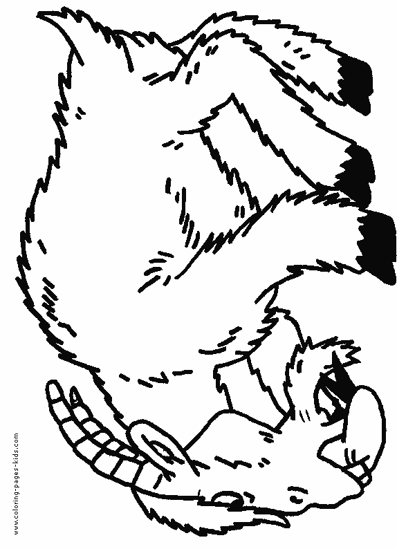 Goat color page, animal coloring pages, color plate, coloring sheet,printable coloring picture