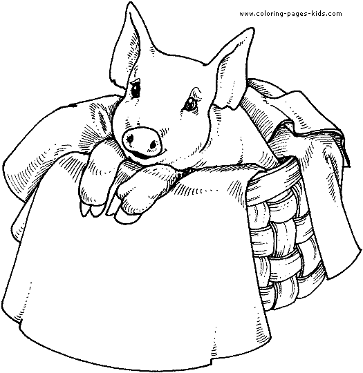 Pig color page, animal coloring pages, color plate, coloring sheet,printable coloring picture