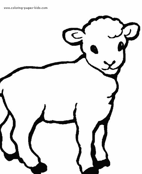 Lamb color page