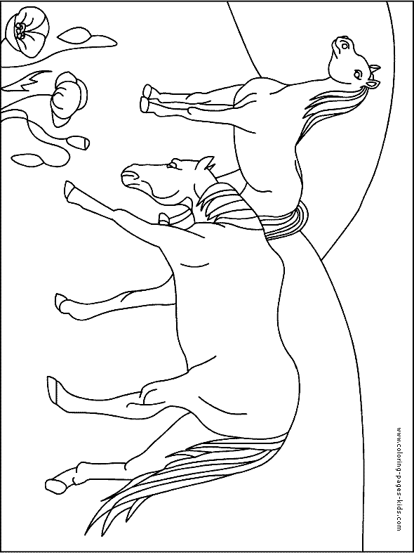 pony color page, horse color page, animal coloring pages, color plate, coloring sheet, printable coloring picture