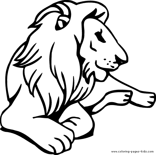 Lion color page