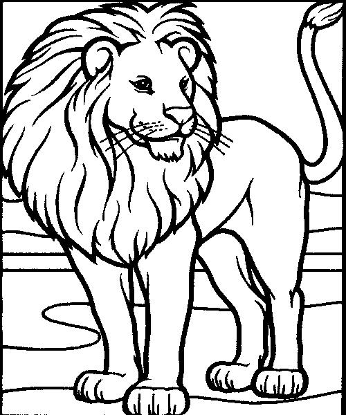 Smiling Lion color page