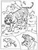 Tigers coloring page for kids