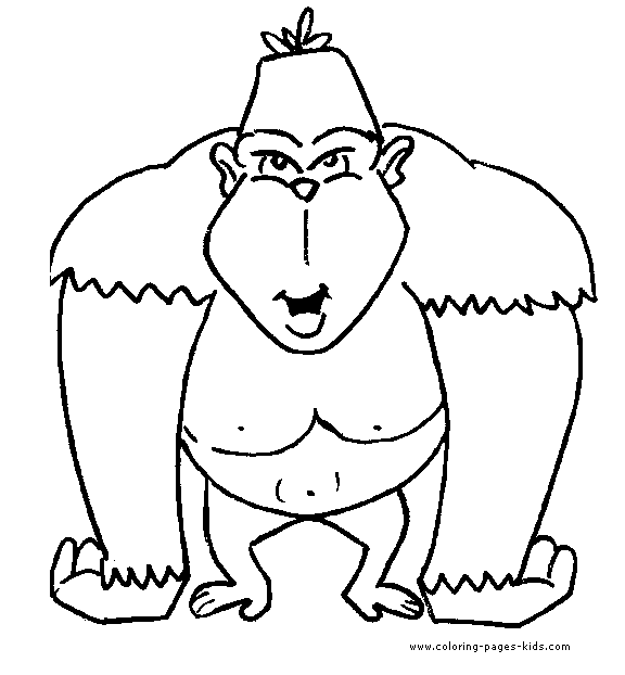 Gorilla