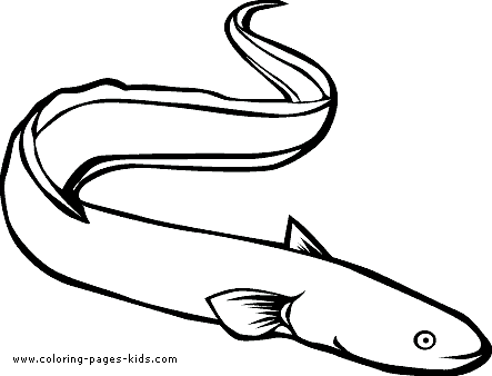 Animals Coloring Pages on Animals Coloring Pages And Sheets Can Be Found In The Ocean Animals