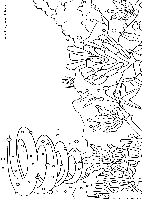 animal pictures for coloring. Ocean animals Coloring pages
