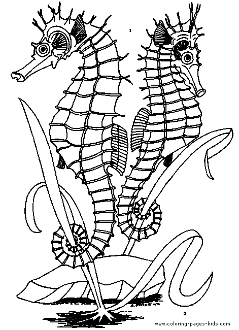 animals pictures for colouring. Ocean animals Coloring pages