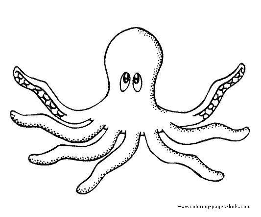 Octopus color page, animal coloring pages, color plate, coloring sheet 