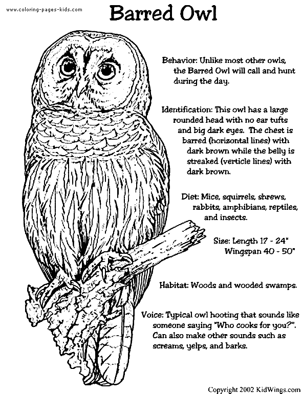 Owls Coloring pages. Barred Owl color page.