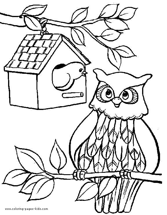 Owl Birds Nest Color Page Animal Coloring Pages Plate Sheet