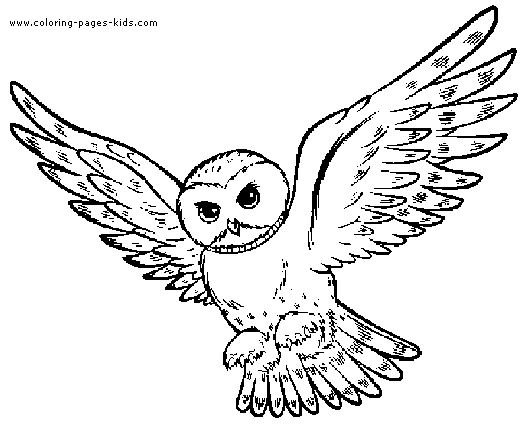 Owls Coloring pages. Flying Owl color page.
