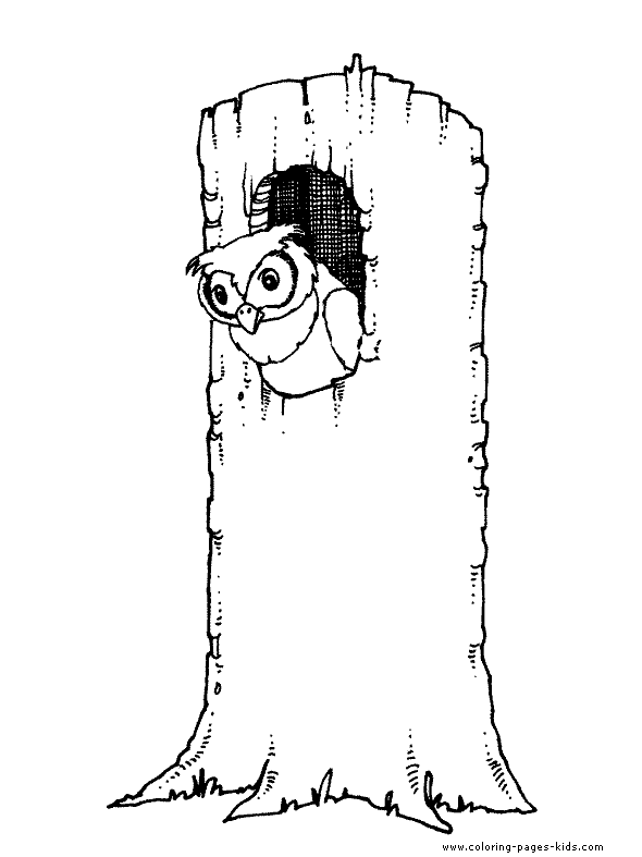 Owl in a tree nest