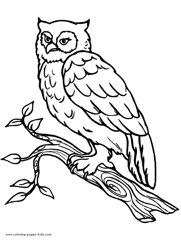 Owls Coloring pages. Owl in a Tree color page.