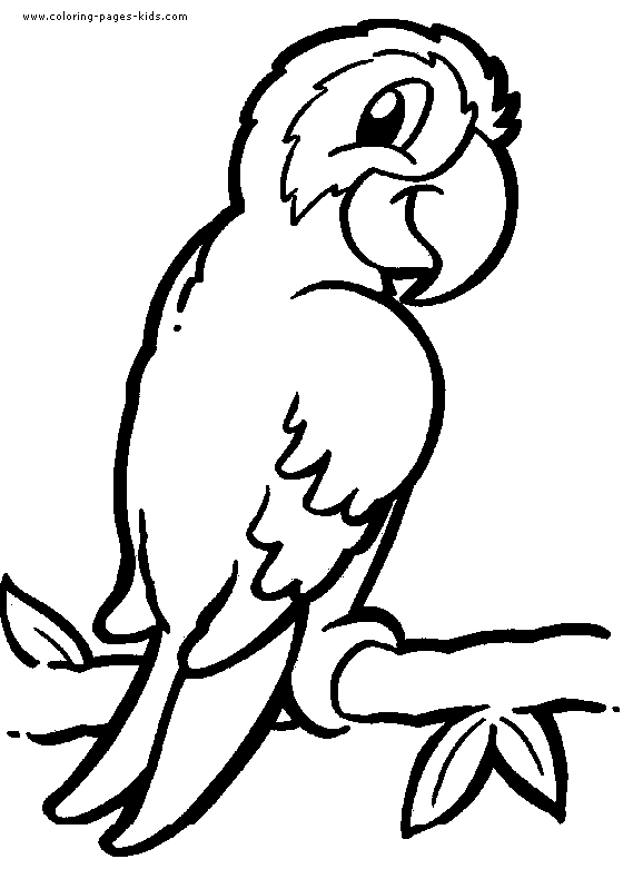Download free printable Animal Coloring pages. Parrots Coloring pages