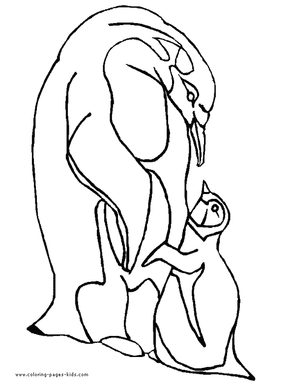 Penguin coloring pages, color