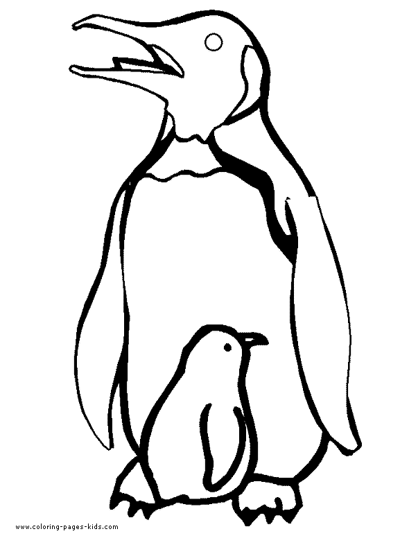 Penguin coloring pages, color plate, coloring sheet,printable coloring picture