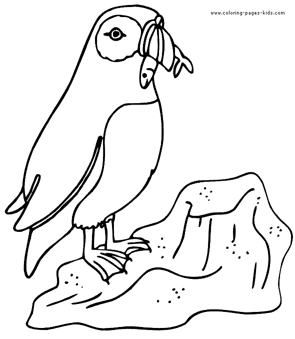 Penguin coloring pages, color plate, coloring sheet,printable coloring picture