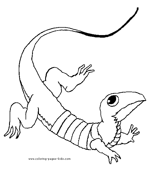 a to z reptile coloring pages - photo #1