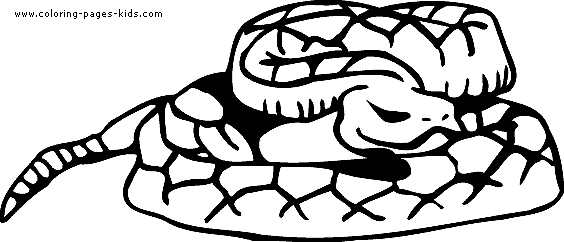 a to z reptile coloring pages - photo #5