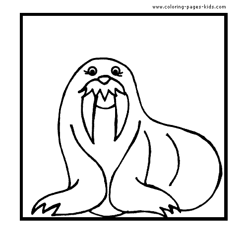 Sea lion coloring pages, color plate, coloring sheet,printable coloring picture