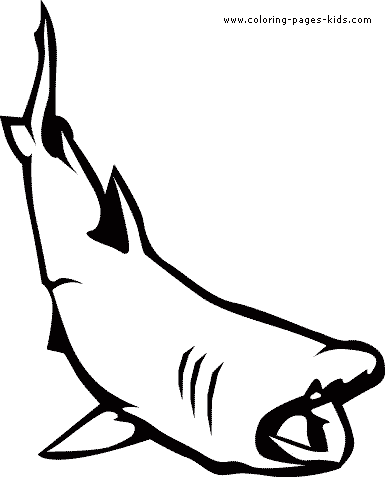 Shark Coloring on Printable Sharks Coloring Pages And Sheets Can Be Found In The Sharks