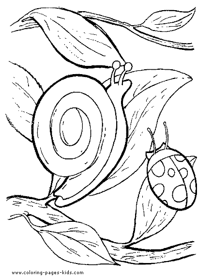 Snail coloring pages, color plate, coloring sheet,printable coloring picture