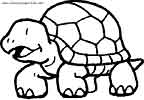 Turtle coloring sheets